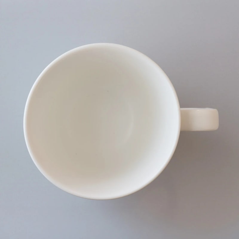 Mug - Mino-yaki White Matt Large, Lifelong Companion
