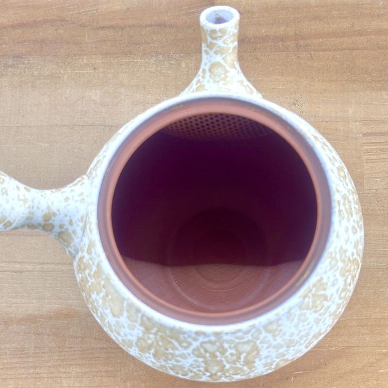 Teapot - SHORYU Red Clay White Tenmoku