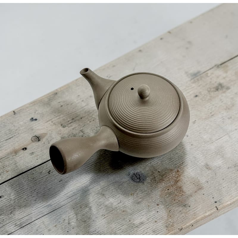 Teapot - Tokoname Black Silver Flat Round Sendan