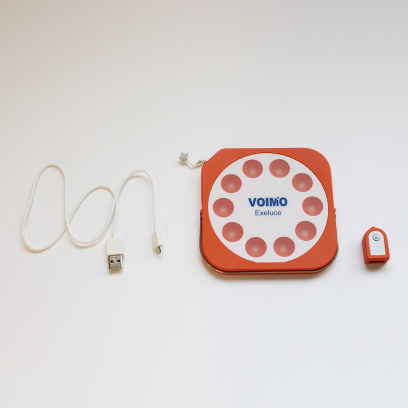 Kyosashimono Lantern - Gekka Maigiku Tango Chirimen