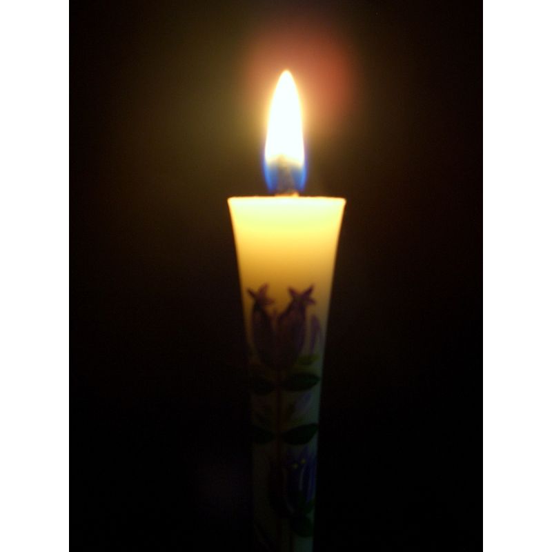 Hand-Painted Japanese Candles - Gentian (Size 3 Set of 2)