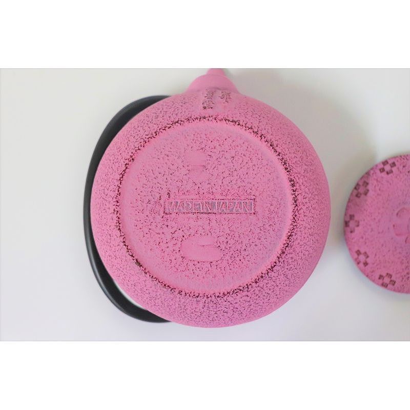 Nanbu Tekki Teapot - 0.3L Brush Mark Hanaori-Sakura Pattern