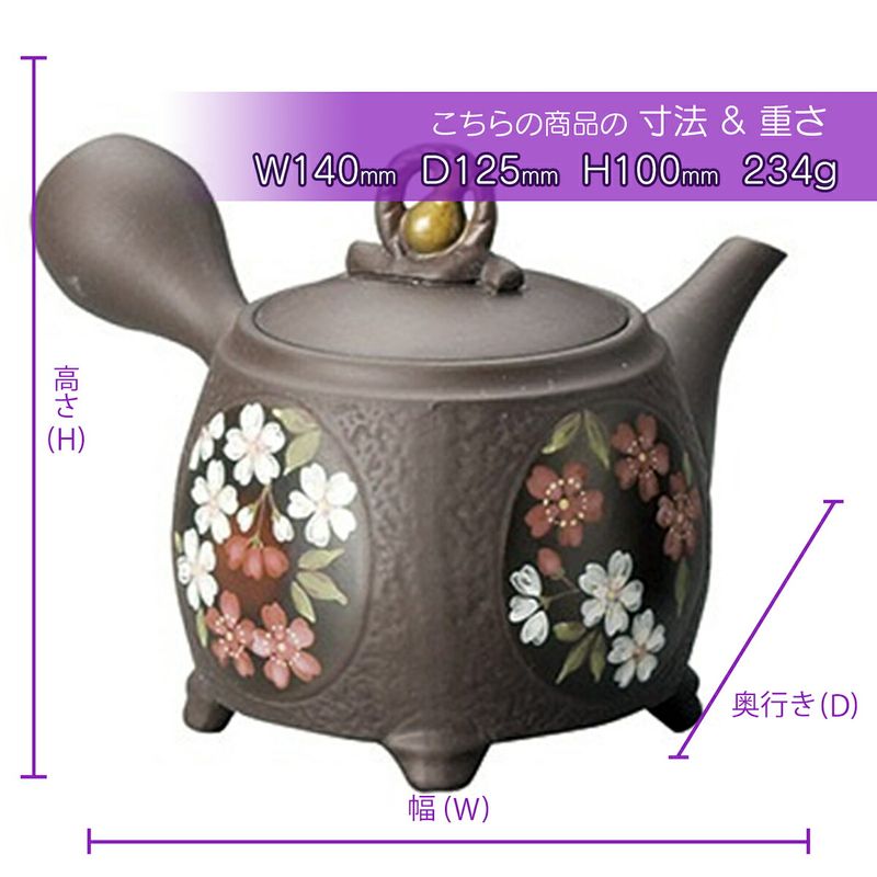 Fujita Nozomi Chakoshi Kyusu Tea Pot Gourd