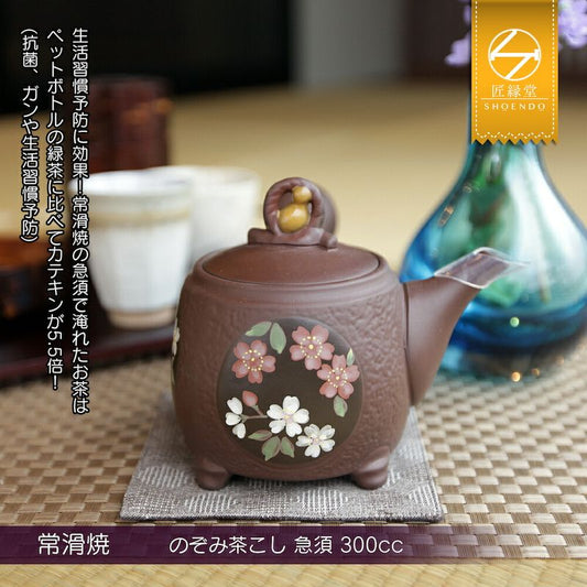 Fujita Nozomi Chakoshi Kyusu Tea Pot Gourd