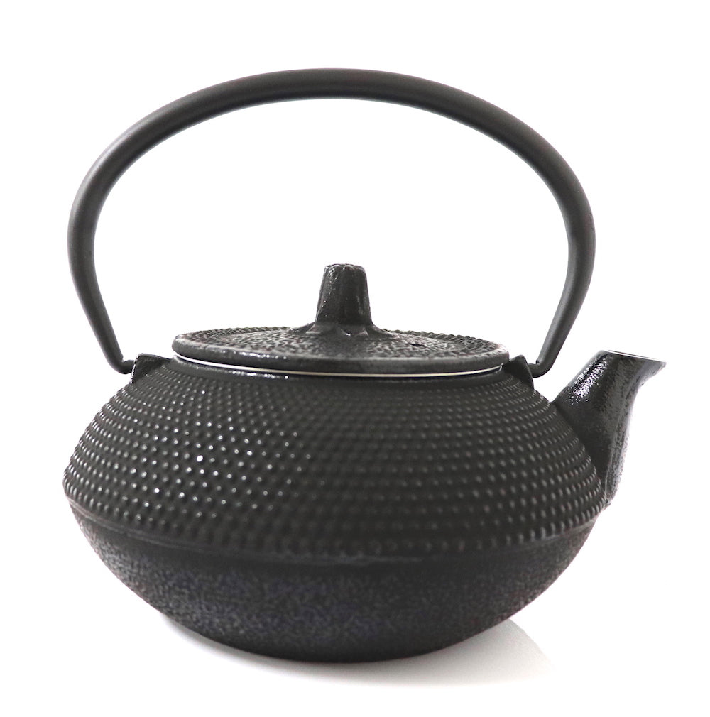 Fujita Kyusu Teapot Traditional Nanbu Nambu Tekki Ironware Kettle Maruarare 0.8L