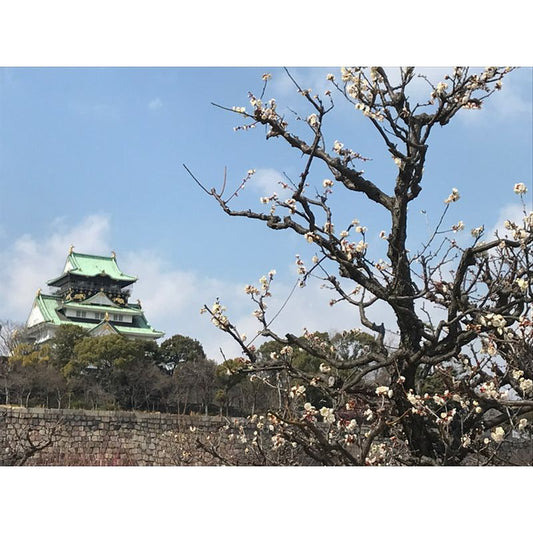 Osaka Castle