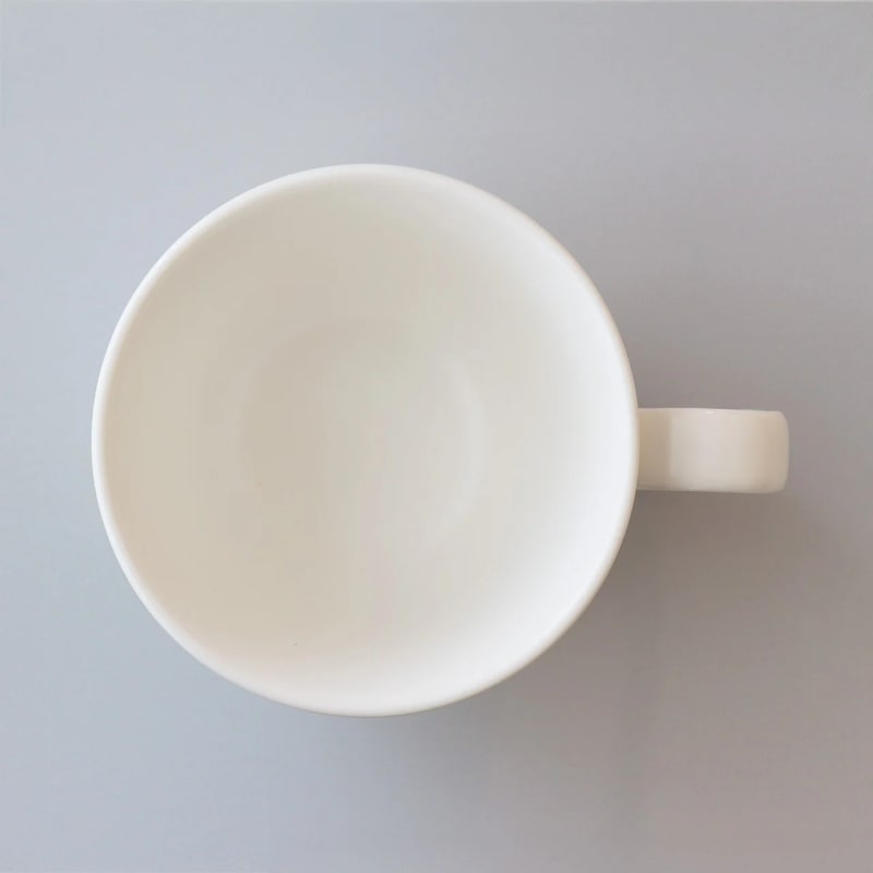 Mug - Mino-yaki White Matt Regular, Lifelong Companion