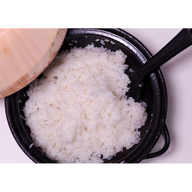 Donabe - Banko Ware Kinoka 8 Size