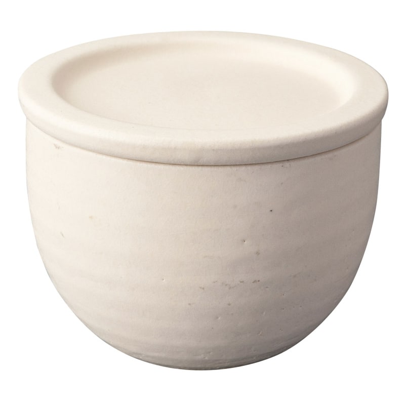 Rice Container