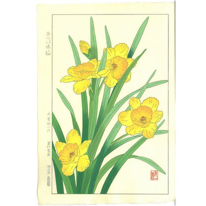 Yuichi Osuga  Daffodil