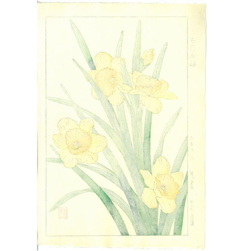 Yuichi Osuga Daffodil