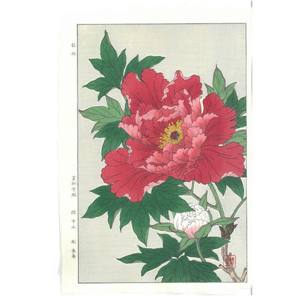 Shodo Kawarazaki  F009 Peony