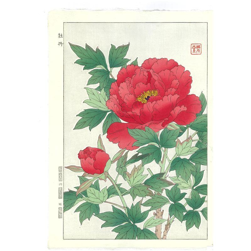 Shodo Kawarazaki  F011 Peony