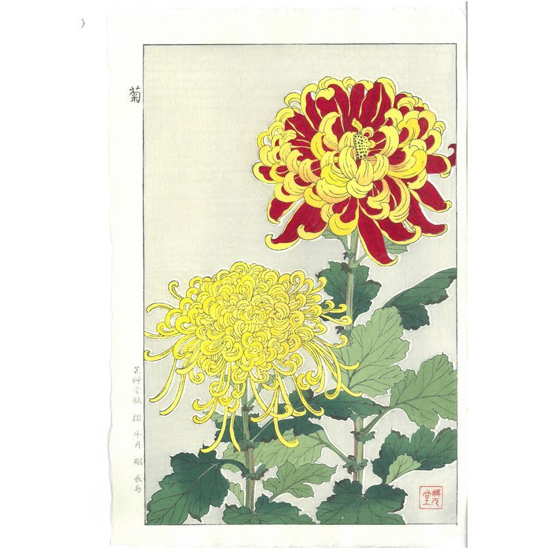 Shodo Kawarazaki  F032 Chrysanthemum