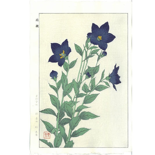 Shodo Kawarazaki F047 Bellflower