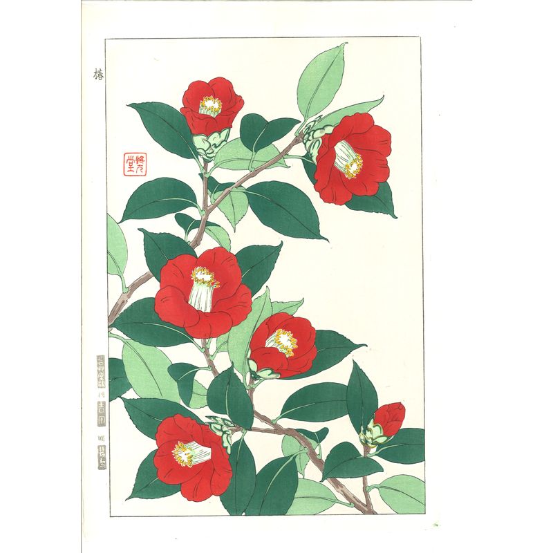 Shodo Kawarazaki  F048 Camellia 