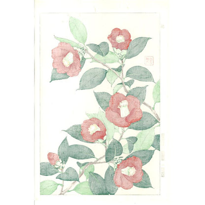 Shodo Kawarazaki F048 Camellia