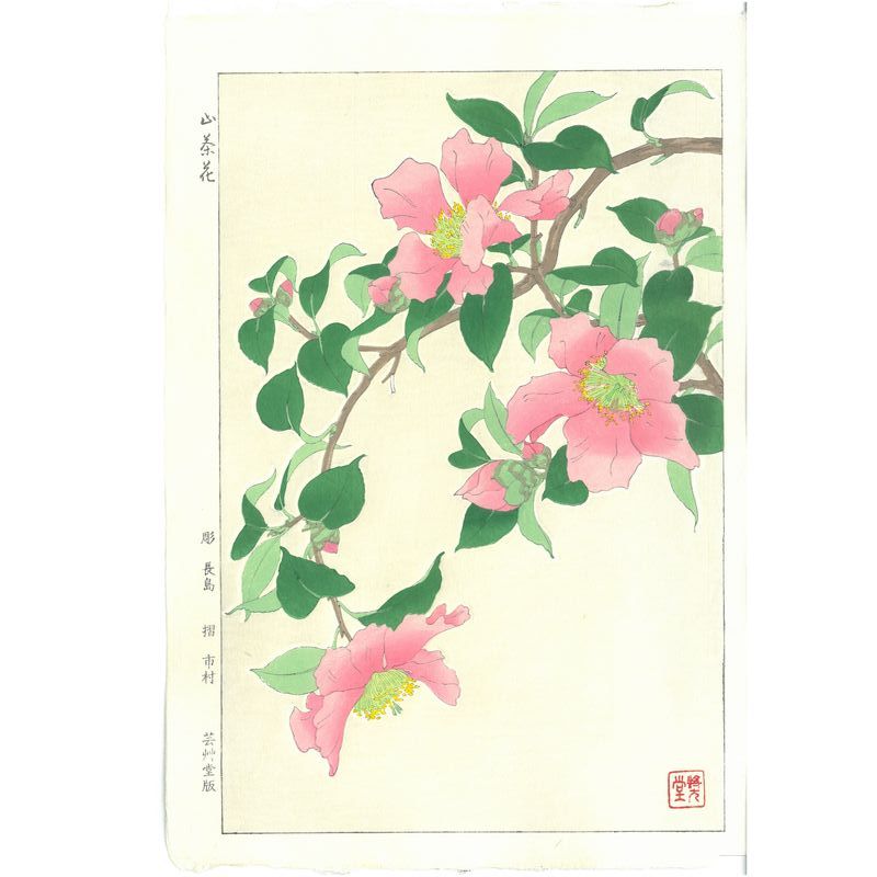 Shodo Kawarazaki  F053 Camellia 