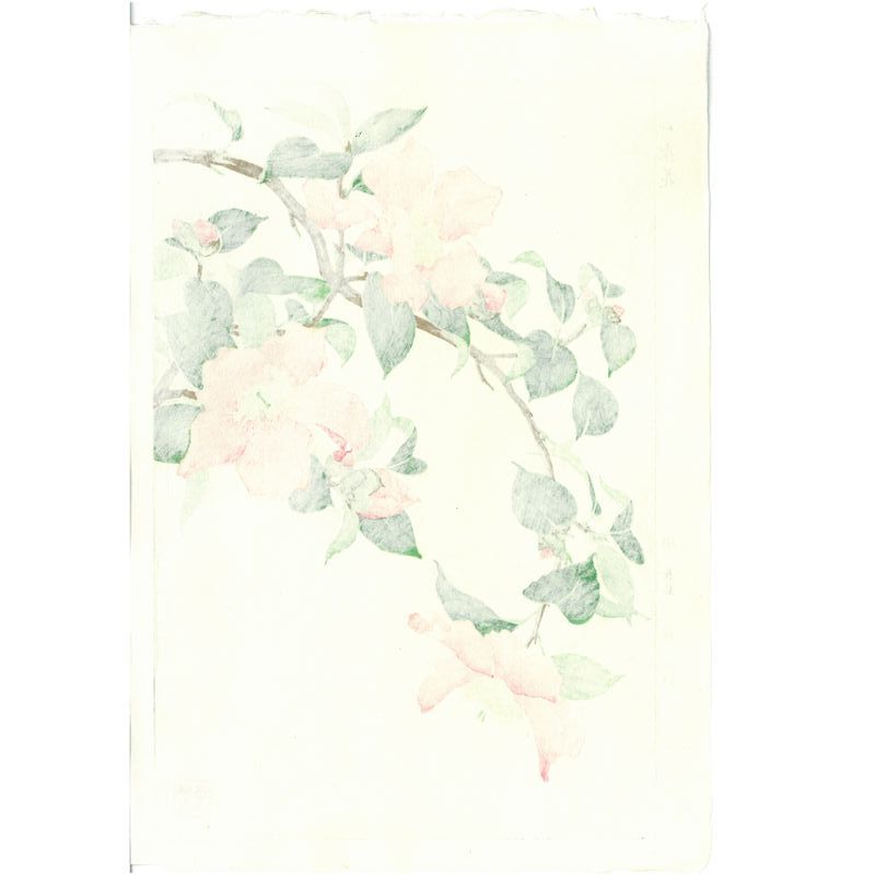 Shodo Kawarazaki F053 Camellia