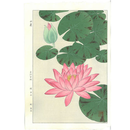 Shodo Kawarazaki  F057 Waterlily