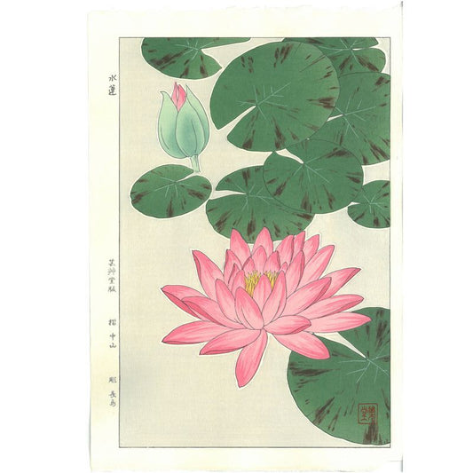 Shodo Kawarazaki  F057 Waterlily