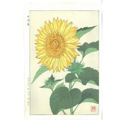 Shodo Kawarazaki  F087 Sunflower 