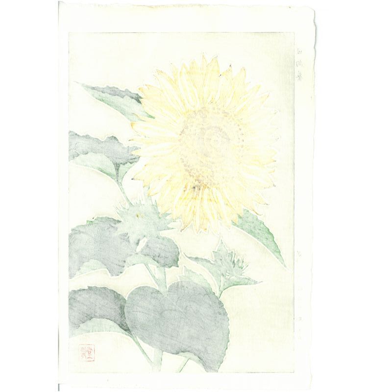 Shodo Kawarazaki F087 Tournesol