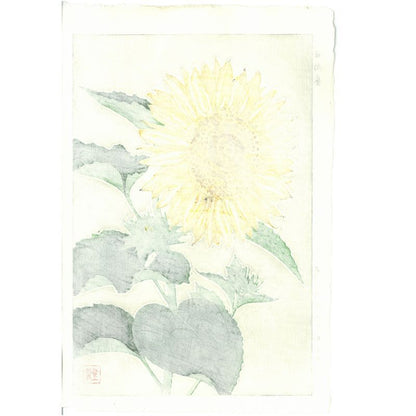 Shodo Kawarazaki F087 Tournesol