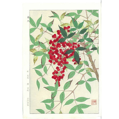 Shodo Kawarazaki  F090 Nandina