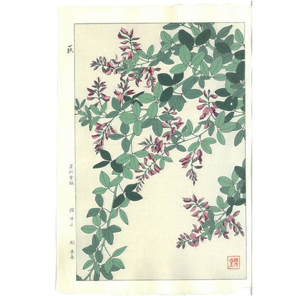 Shodo Kawarazaki  F113 Wisteria 