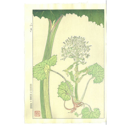 Teru Kuzuhara  F145 Butterbur