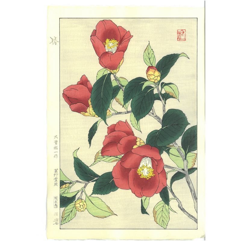 Yuichi Osuga  F175 Camellia