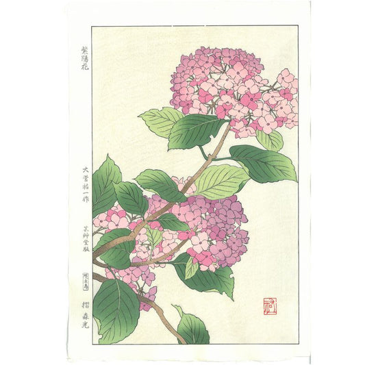 Yuichi Osuga  F178 Hydrangea