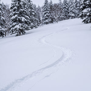 Snow & Winter Sports