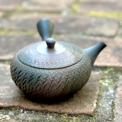 Teapot - GYOKKO Fire Kiln-Change Flat Round Tobikanna