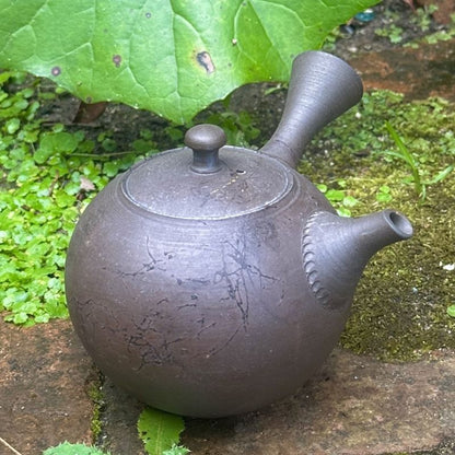 Teapot - YOSHIKI Black Smoke Round Shape Tamabuchi Rim
