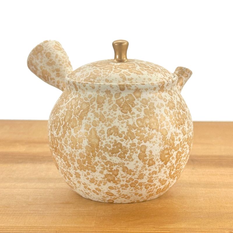 Teapot - SHORYU Red Clay White Tenmoku