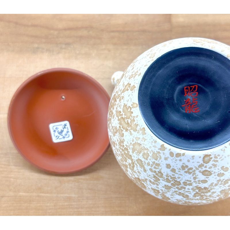 Teapot - SHORYU Red Clay White Tenmoku
