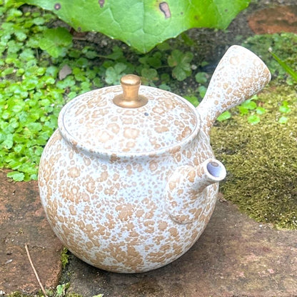Teapot - SHORYU Red Clay White Tenmoku