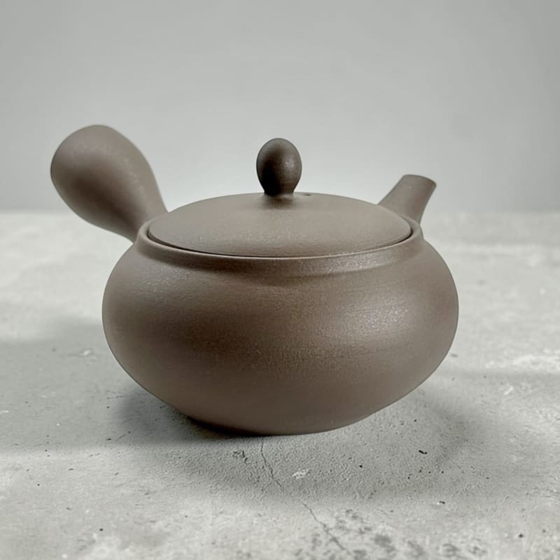 Teapot - Tokoname Black Silver Flat Round