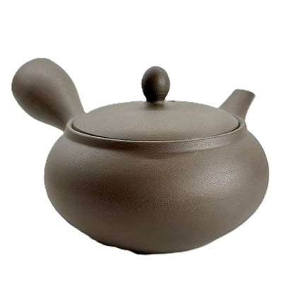 Teapot - Tokoname Black Silver Flat Round