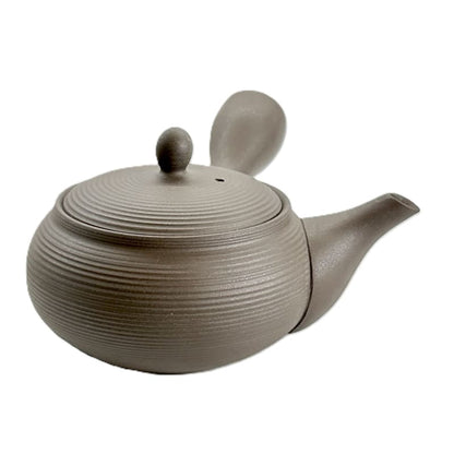 Teapot - Tokoname Black Silver Flat Round Sendan