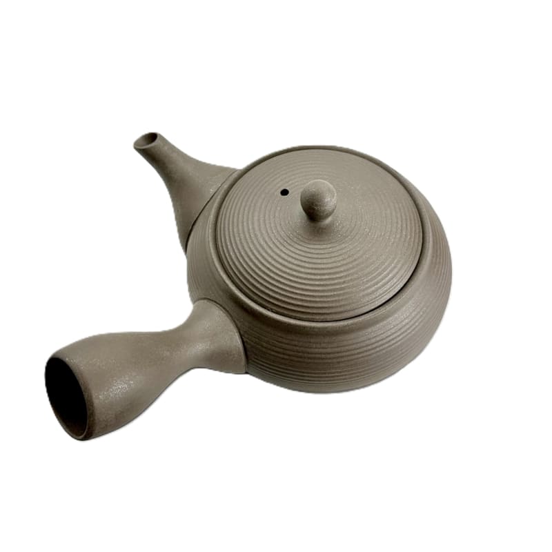 Teapot - Tokoname Black Silver Flat Round Sendan