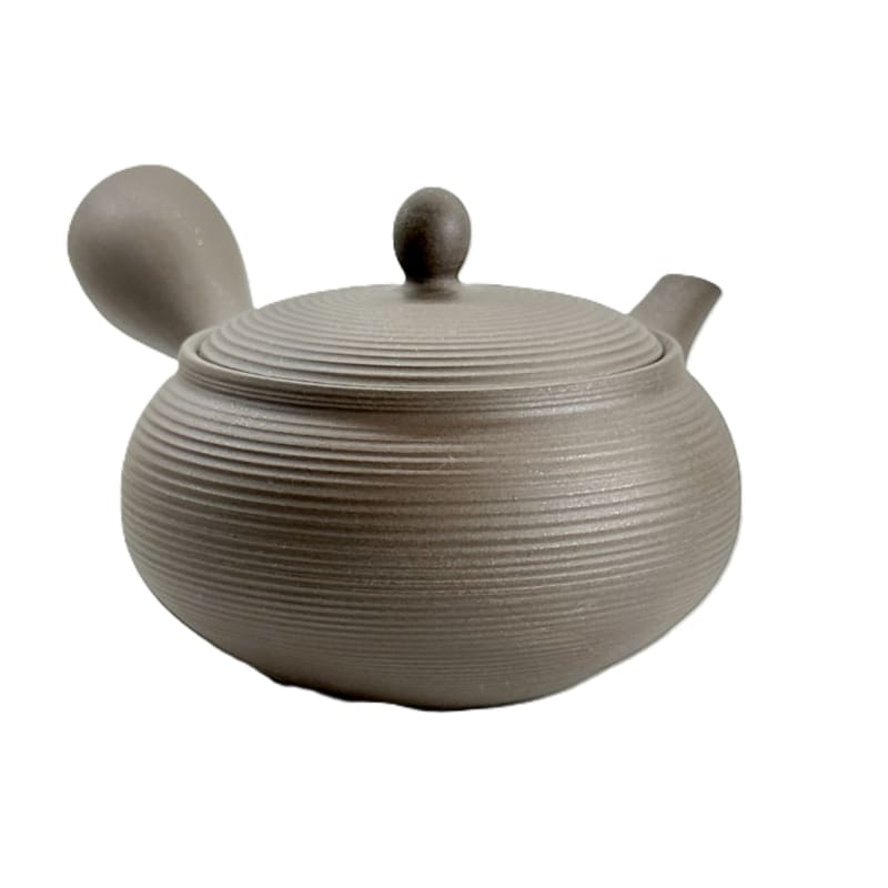 Teapot - Tokoname Black Silver Flat Round Sendan