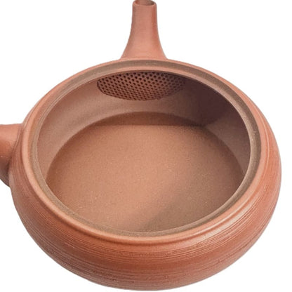 Teapot - Sekiryu Red Clay Pine Bark