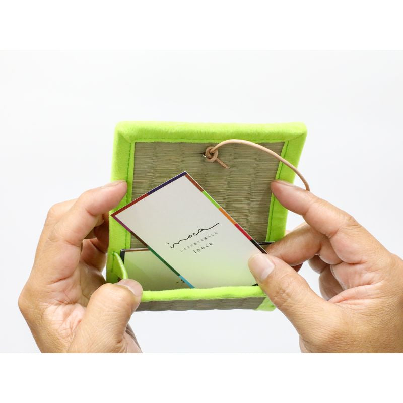 Card Case - Bright Green