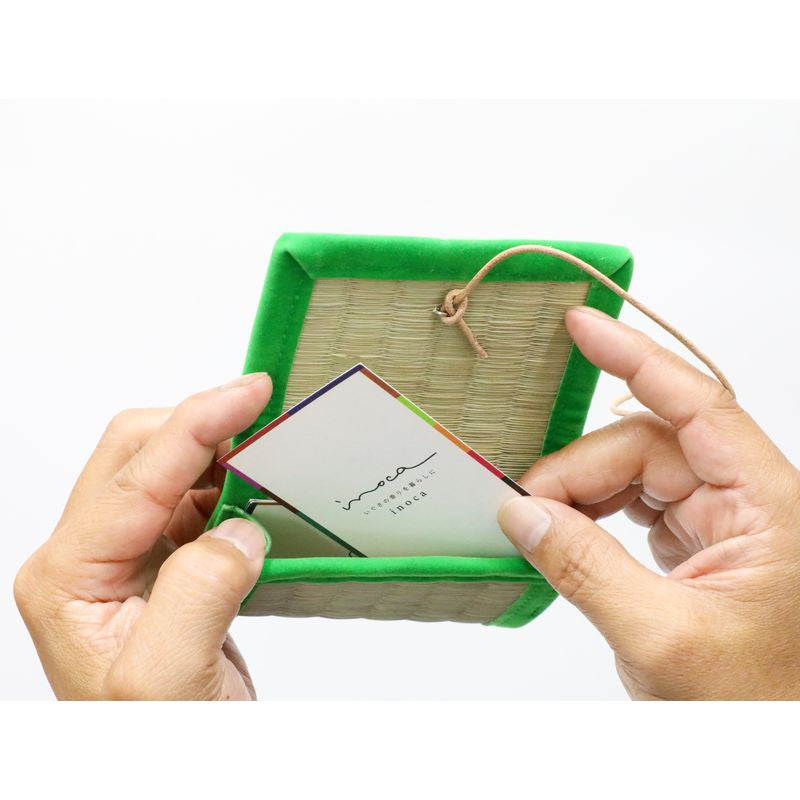 Card Case - Ever Green