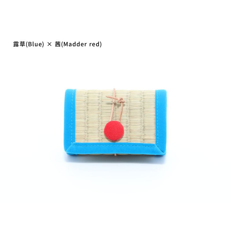 Card Case - Blue