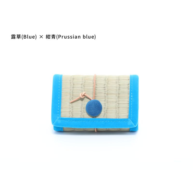 Card Case - Blue