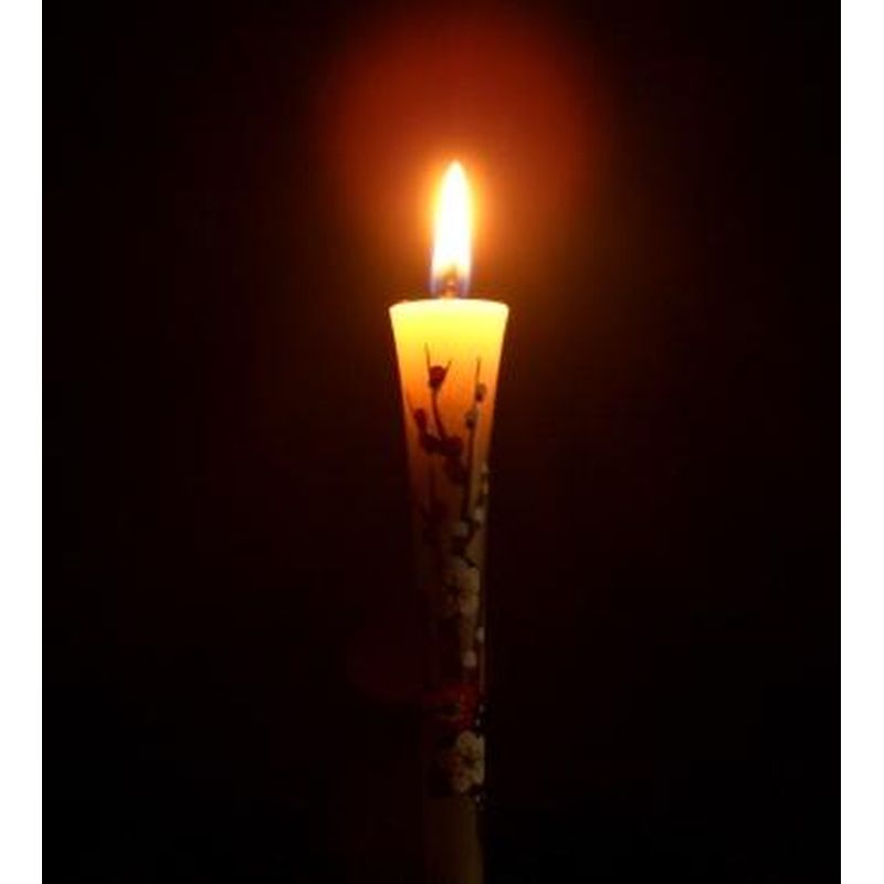 Hand-Painted Japanese Candles - Plum Blossom (Size 3 Set of 2)